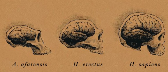 ¿Probaste el chiquito? Ahora, probá el grandote.