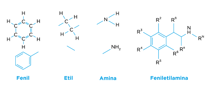 Molécula de feniletilamina. Y los grupos funcionales que la conforman