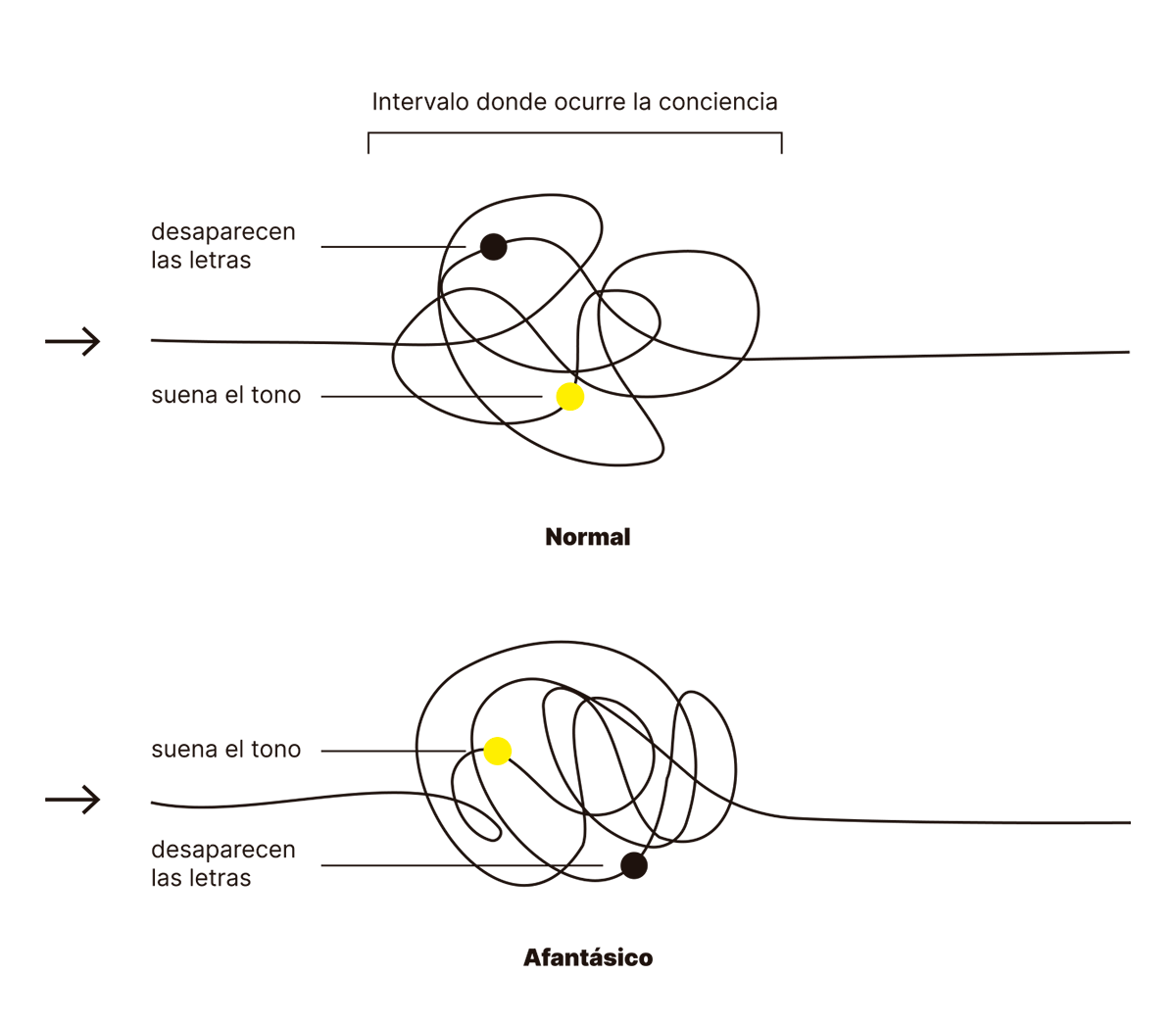 
La imagen representa el orden de eventos en el procesamiento de la conciencia en dos tipos de personas: aquellas con percepción "normal" y personas con afantasía. En el caso "normal", el evento de la desaparición de las letras ocurre antes del sonido del tono, mientras que en el caso afantásico, el sonido del tono antecede a la desaparición de las letras. Este cambio en el orden de los eventos sugiere una diferencia en la manera en que se experimenta la secuencia de eventos conscientes, ilustrado aquí mediante un nudo que representa el intervalo donde ocurre la conciencia.