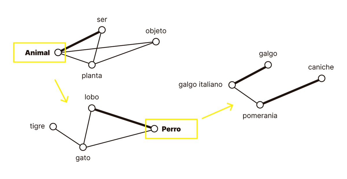La imagen ilustra una jerarquía semántica que parte de términos generales y va aumentando en especificidad. Se representa una estructura donde la palabra "Animal" conecta con términos como "ser," "planta," y "objeto" en un nivel amplio. Al ir descendiendo en la jerarquía, el término "Perro" se conecta con otras especies y subespecies, como "lobo" y razas de perros como "galgo italiano" y "pomerania." Las flechas amarillas indican un zoom o enfoque progresivo hacia categorías más específicas. Esta representación visual ayuda a comprender cómo los conceptos se estructuran desde niveles generales hasta niveles más detallados en un marco de relaciones semánticas.