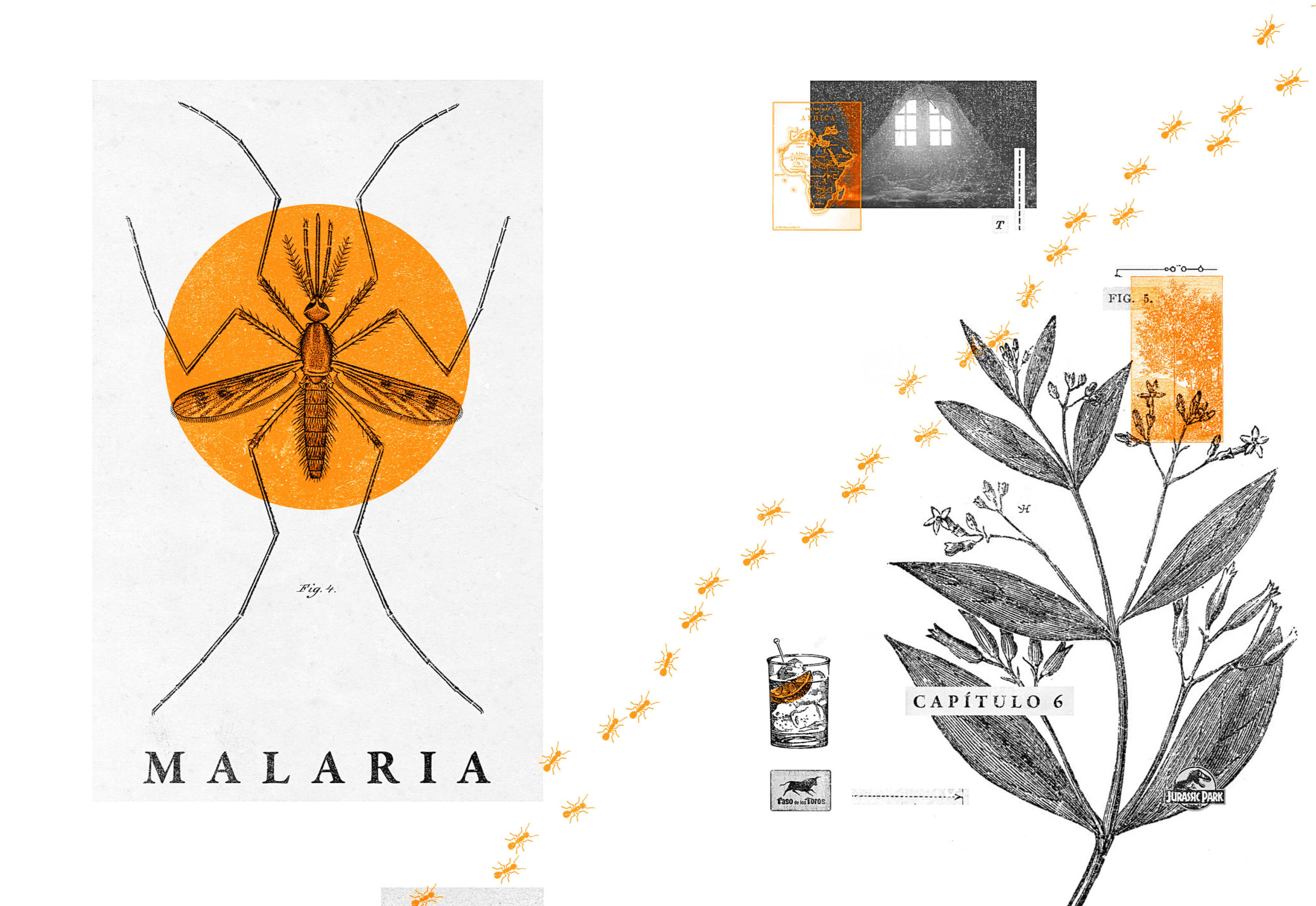 La imagen es una portada visualmente impactante para el capítulo titulado "Malaria". En el lado izquierdo, destaca una ilustración de un mosquito enmarcado dentro de un círculo naranja, que simboliza la enfermedad. A la derecha, hay una composición con elementos naturales como una planta, acompañada por una fila de pequeñas hormigas en color naranja que recorren la imagen, guiando la vista a través de distintos puntos. El diseño incorpora detalles como una ventana en blanco y negro, un mapa y un vaso de bebida, dando una atmósfera científica y exploratoria. La paleta de colores, dominada por el negro y el naranja, acentúa la estética de ciencia natural y narrativa visual.