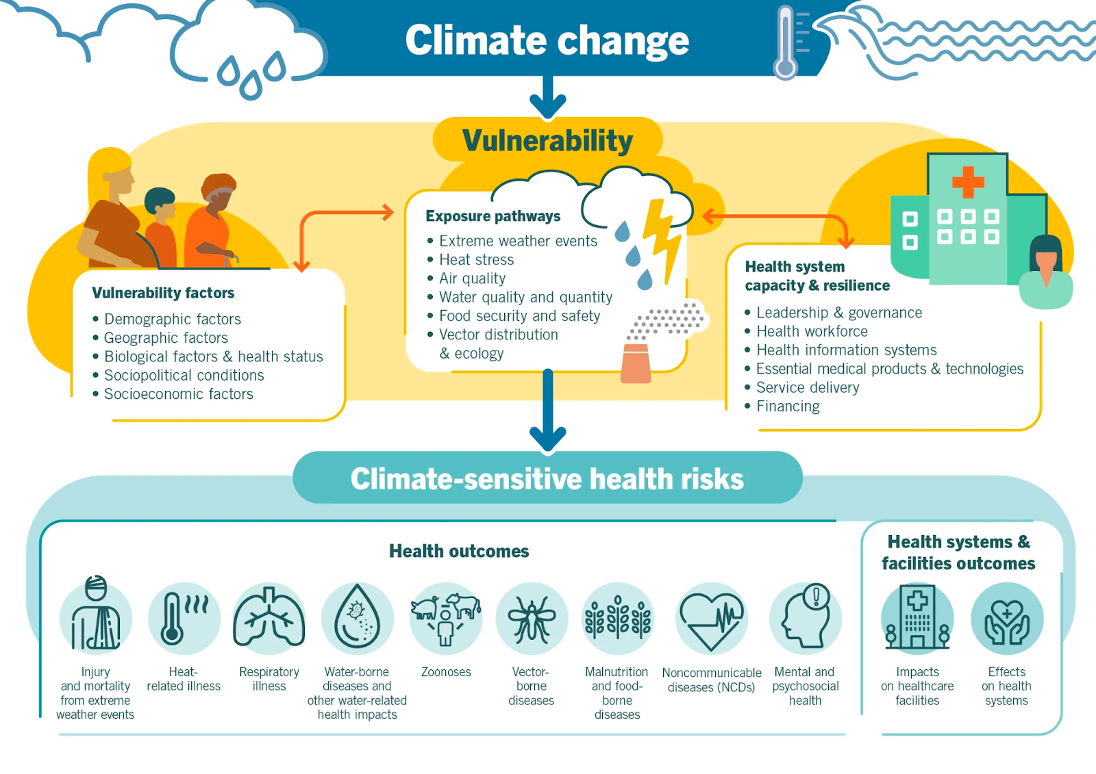La imagen ilustra los riesgos para la salud sensibles al clima y cómo el cambio climático influye en la vulnerabilidad y exposición de la salud humana. En la parte superior, se muestra el cambio climático como un factor inicial que aumenta la vulnerabilidad debido a factores demográficos, geográficos, biológicos, sociopolíticos y socioeconómicos. Esto lleva a diversas vías de exposición como eventos climáticos extremos, estrés por calor, calidad del aire, seguridad alimentaria y la ecología de vectores. La capacidad y resiliencia del sistema de salud, incluyendo gobernanza, recursos humanos, productos médicos y financiamiento, influyen en la respuesta a estos riesgos. Los resultados en salud incluyen enfermedades respiratorias, transmitidas por vectores, y enfermedades no transmisibles, además de impactos en sistemas de salud y atención médica.