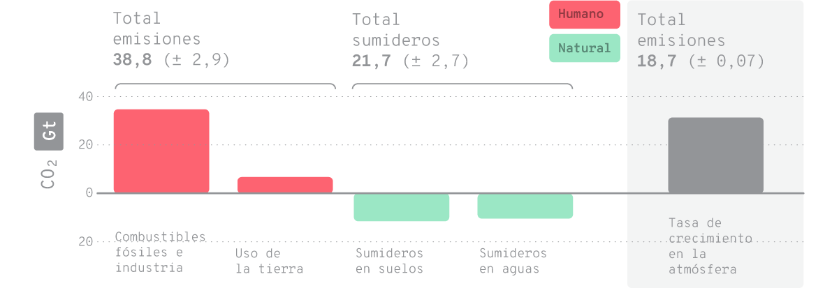 Gráfico de barras que muestra el balance de emisiones y sumideros de CO₂ en gigatoneladas (Gt). A la izquierda, se muestra el total de emisiones de CO₂ de origen humano (38,8 ± 2,9 Gt), desglosadas en 'Combustibles fósiles e industria' y 'Uso de la tierra'. A la derecha, se muestra el total de sumideros de CO₂ (21,7 ± 2,7 Gt), divididos en 'Sumideros en suelos' y 'Sumideros en aguas'. Las barras rojas representan fuentes humanas de emisiones, mientras que las verdes indican sumideros naturales que absorben el CO₂.