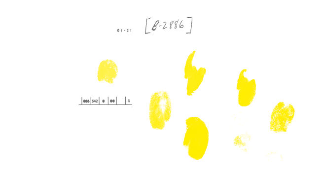 fondo decorativo para la tapa del libro