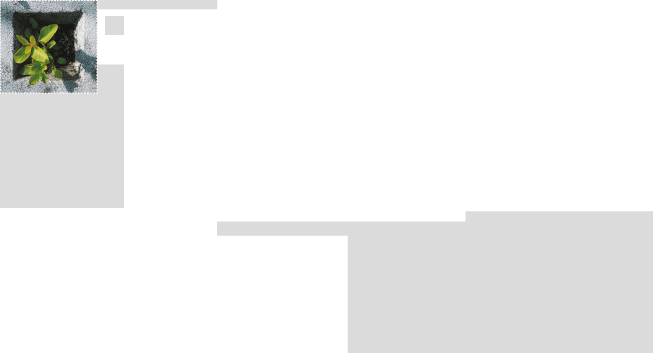 fondo decorativo para la tapa del libro