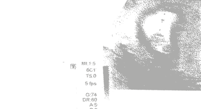 fondo decorativo para la tapa del libro