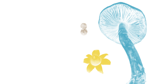 fondo decorativo para la tapa del libro